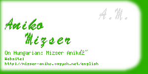 aniko mizser business card